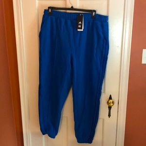 Brand New Adidas Ivy Park Joggers